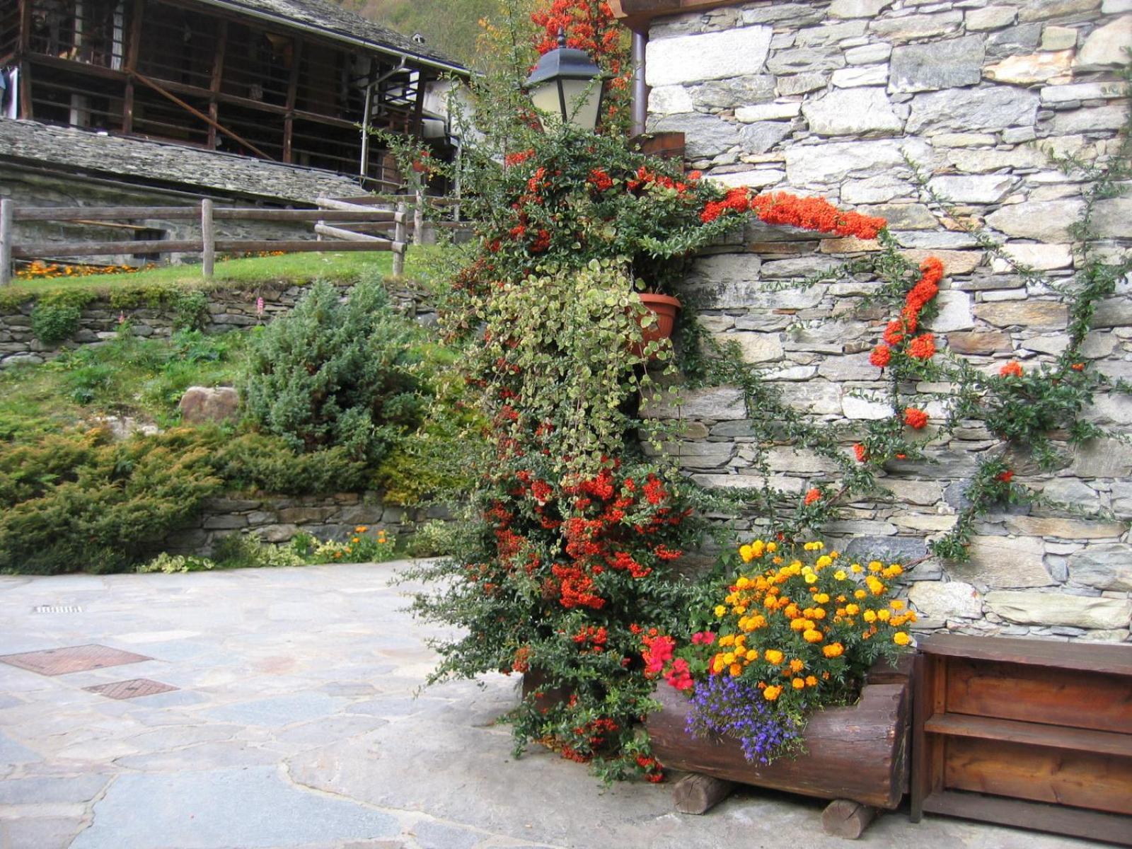 Baita Reale Alagna Valsesia Esterno foto